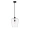 Z-Lite Joliet 1 Light Pendant, Matte Black & Clear 473P12-MB - alternate 5